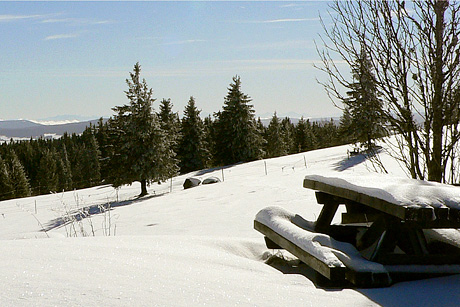 Wintersport